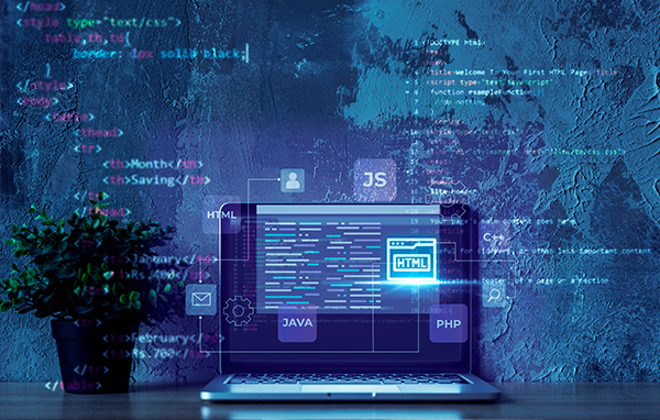 service - Custom Software Development